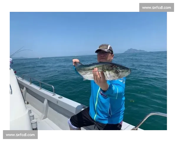 青岛灵山岛爆箱时刻!2 小时钓 40 斤鲈鱼,金秋海钓正当时 青岛灵山岛爆箱时刻!2 小时钓 40 斤鲈鱼,金秋海钓正当时