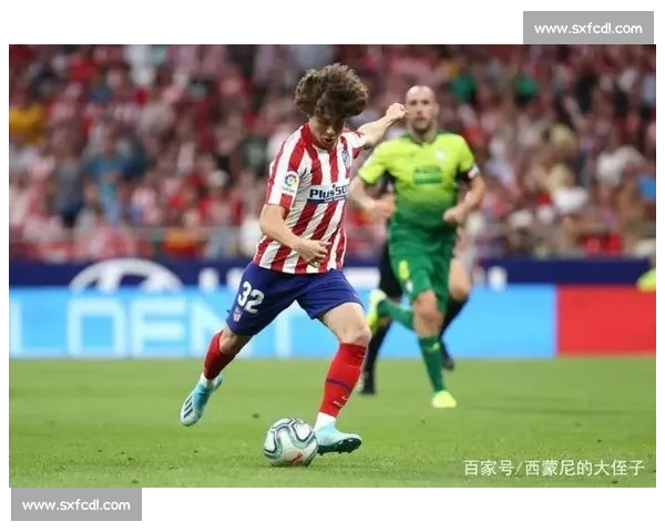 以哈顿vs焦点对决赛前前瞻战术解析与胜负看点全面深度盘点形势走向