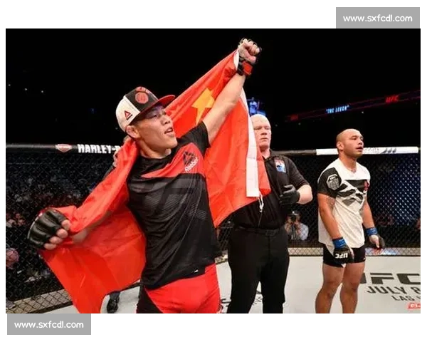 李景亮对决一龙视频解析职业搏击与传统武术真实差距揭秘全景呈现